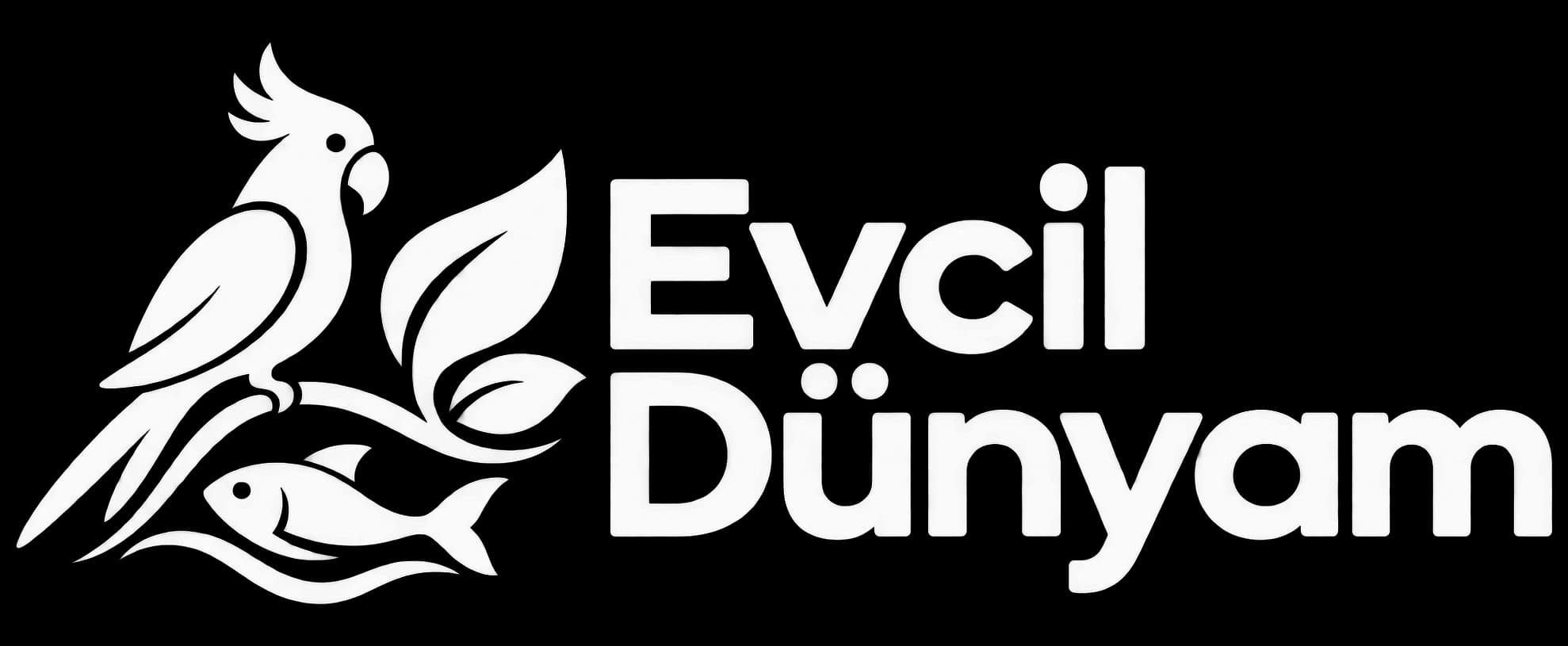 Evcil Dünyam