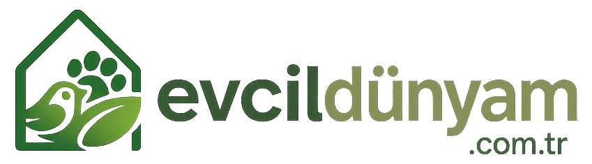 evcildünyam.com.tr